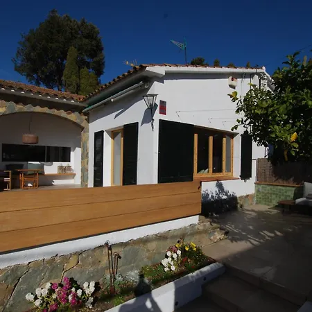 Amis House