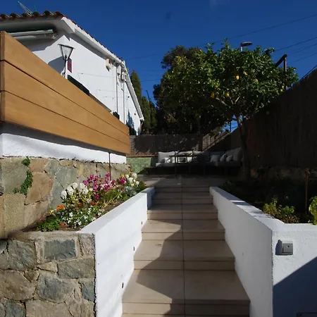 Amis House *